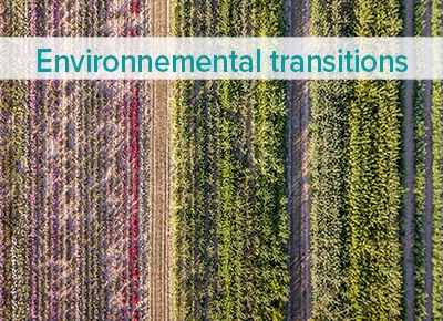 Environmental transitions