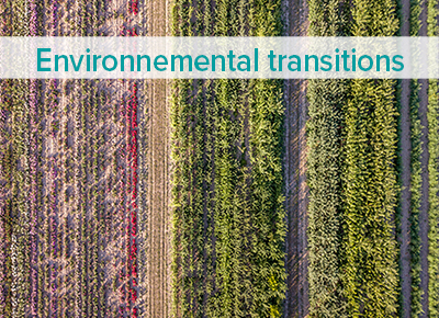 Environmental transitions