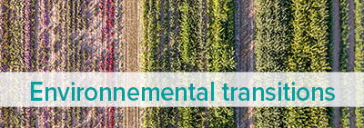 Environmental transformations